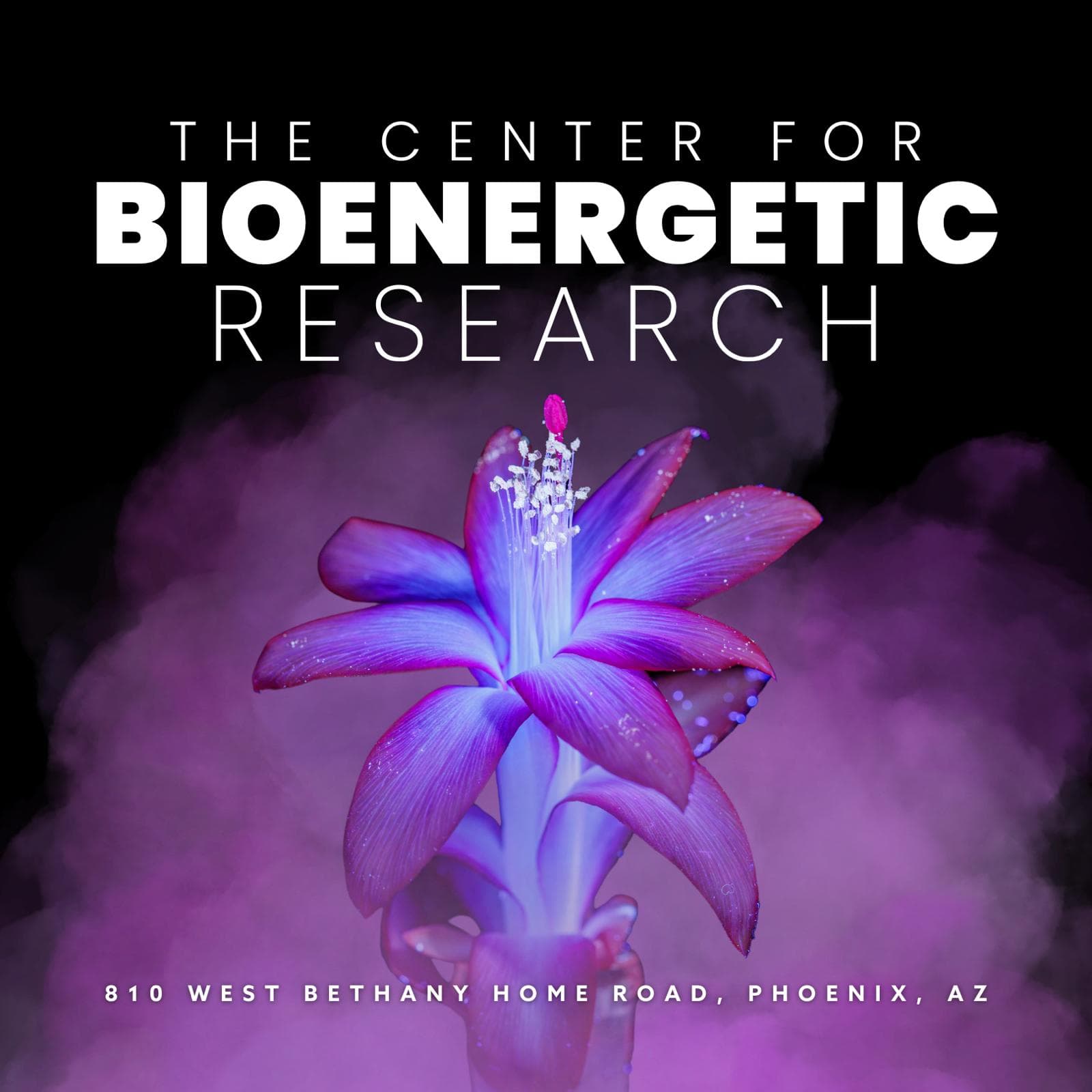 Center for Bioenergetic Research